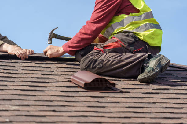 Best Shingle Roofing Installation  in Danvers, IL