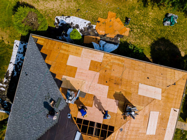 Best Residential Roofing Contractor  in Danvers, IL