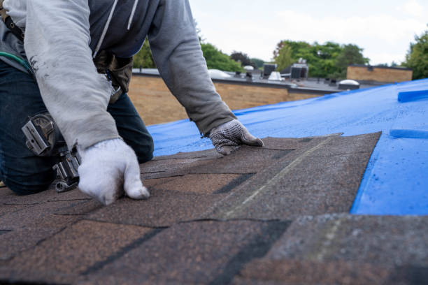 Best Roof Gutter Cleaning  in Danvers, IL