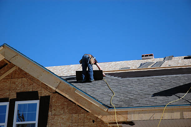 Best Storm Damage Roof Repair  in Danvers, IL