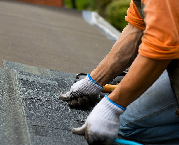 Best New Roof Installation  in Danvers, IL