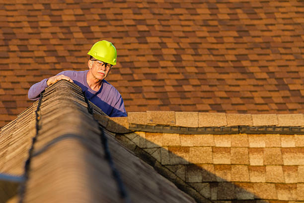 Best Roof Inspection Near Me  in Danvers, IL